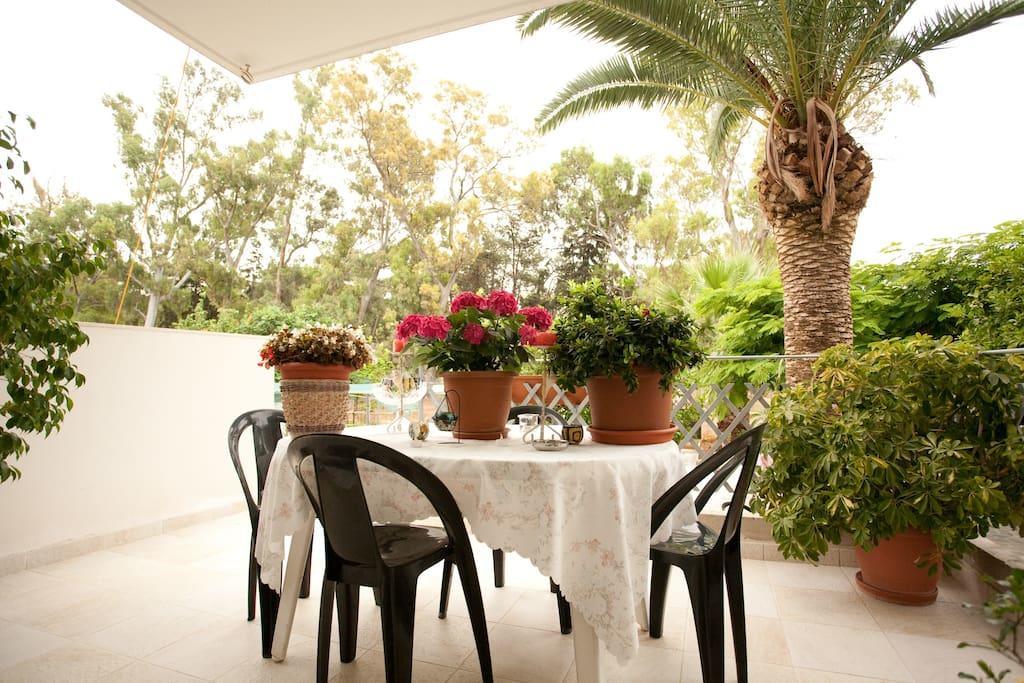 Veggie Garden Athens B&B Dış mekan fotoğraf