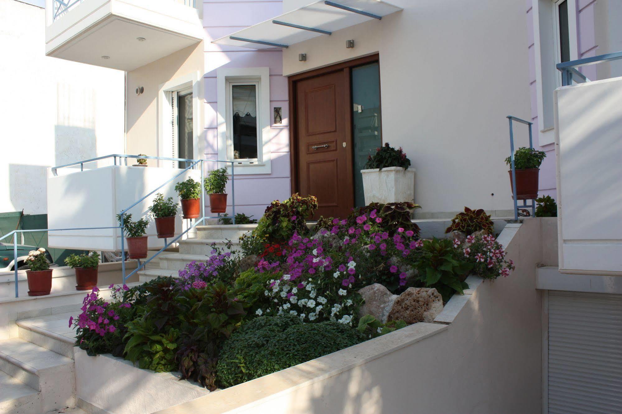 Veggie Garden Athens B&B Dış mekan fotoğraf